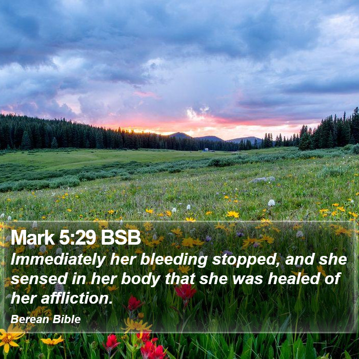 Mark 5:29 BSB Bible Study