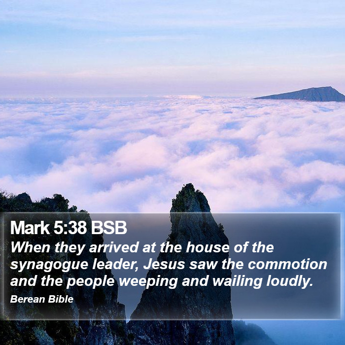 Mark 5:38 BSB Bible Study