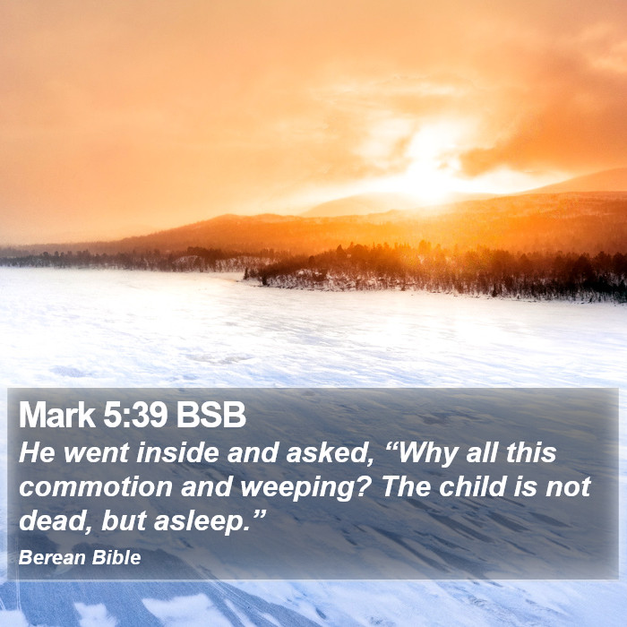 Mark 5:39 BSB Bible Study