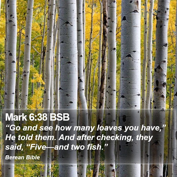 Mark 6:38 BSB Bible Study