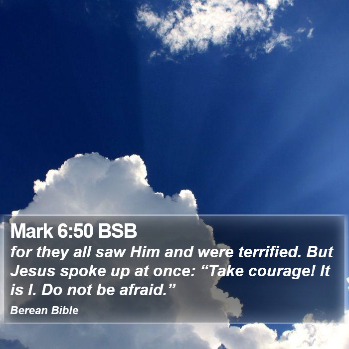 Mark 6:50 BSB Bible Study