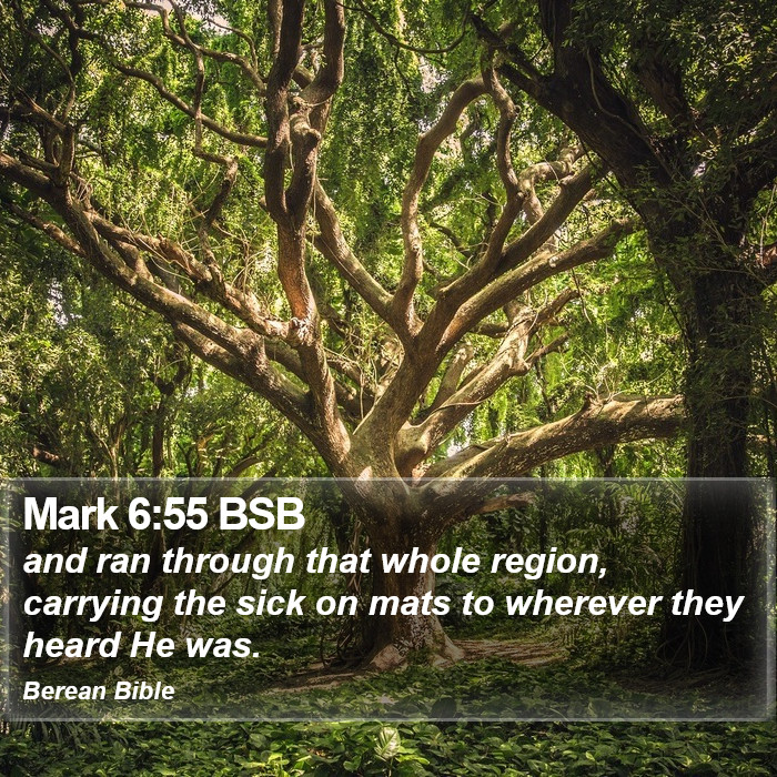 Mark 6:55 BSB Bible Study