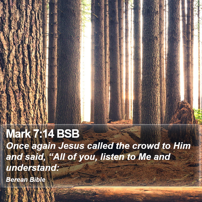 Mark 7:14 BSB Bible Study