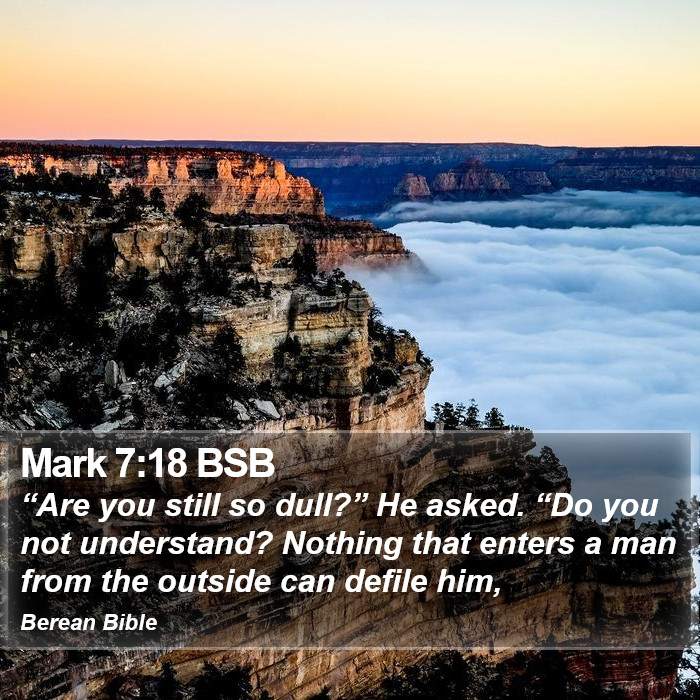 Mark 7:18 BSB Bible Study