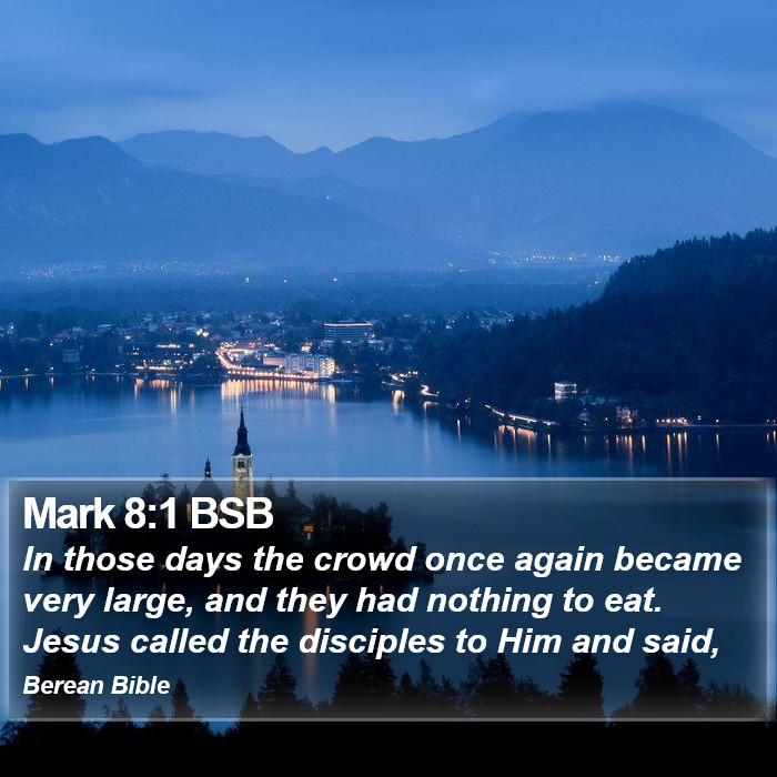 Mark 8:1 BSB Bible Study