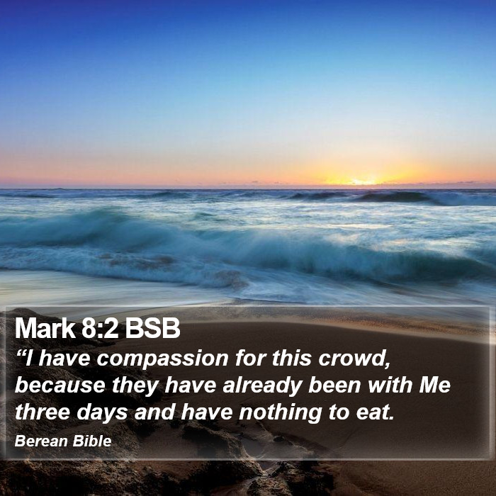 Mark 8:2 BSB Bible Study