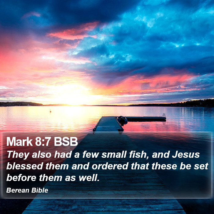 Mark 8:7 BSB Bible Study