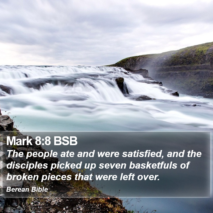 Mark 8:8 BSB Bible Study