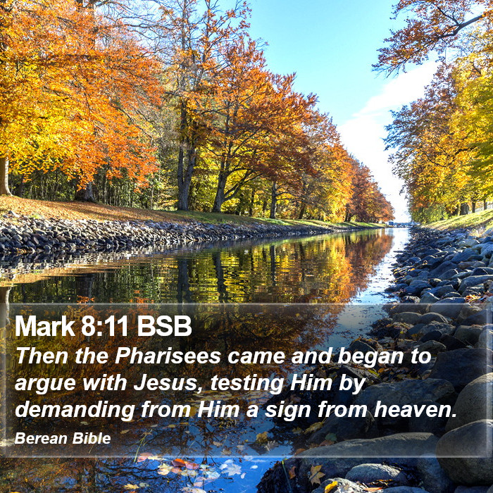 Mark 8:11 BSB Bible Study