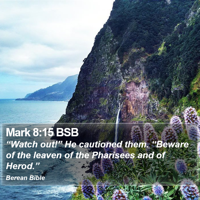 Mark 8:15 BSB Bible Study