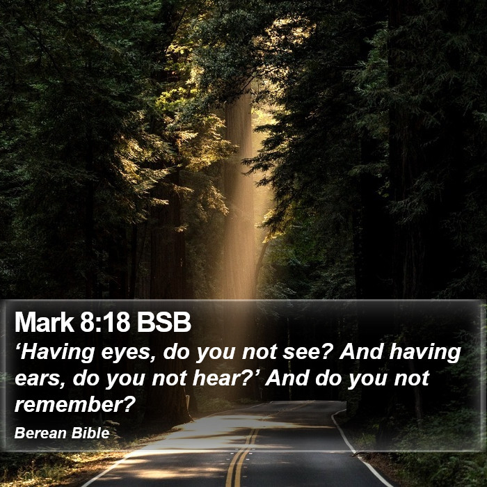 Mark 8:18 BSB Bible Study