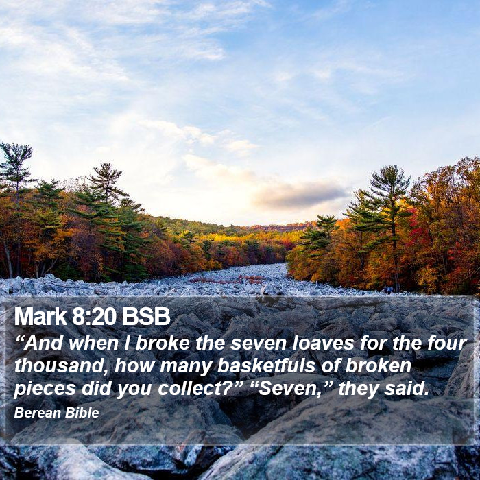 Mark 8:20 BSB Bible Study