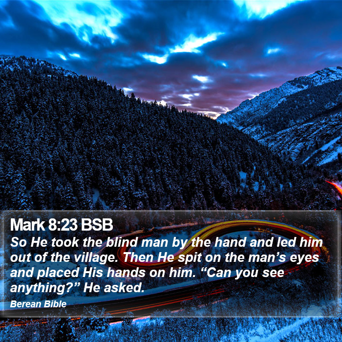 Mark 8:23 BSB Bible Study