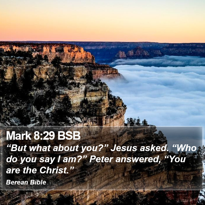 Mark 8:29 BSB Bible Study