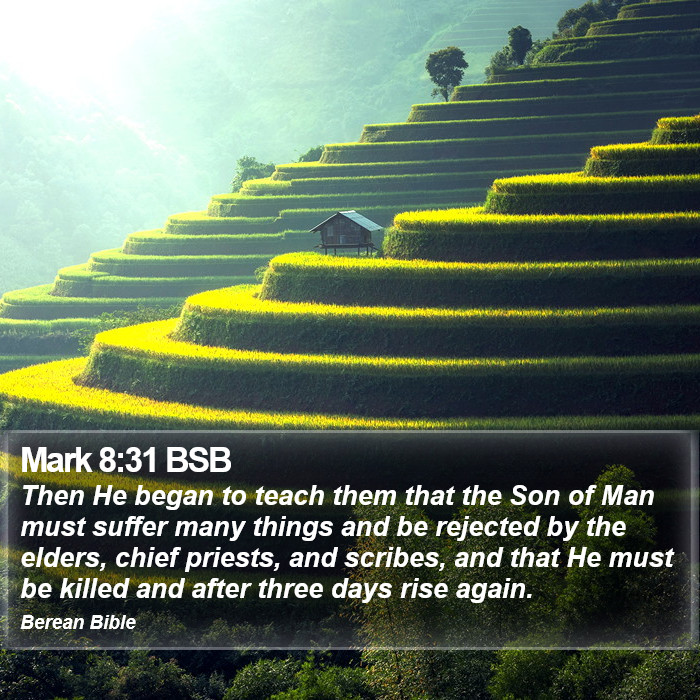 Mark 8:31 BSB Bible Study