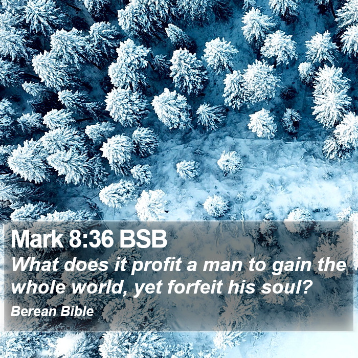 Mark 8:36 BSB Bible Study