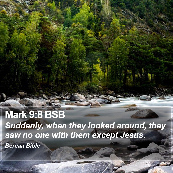 Mark 9:8 BSB Bible Study