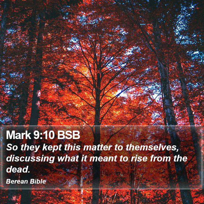 Mark 9:10 BSB Bible Study