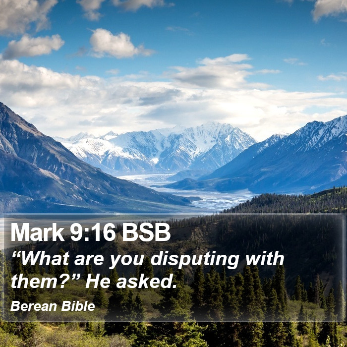 Mark 9:16 BSB Bible Study