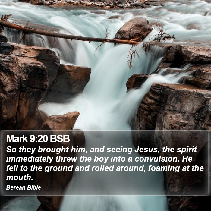 Mark 9:20 BSB Bible Study