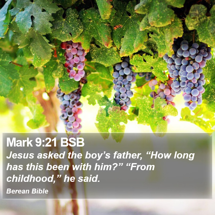 Mark 9:21 BSB Bible Study