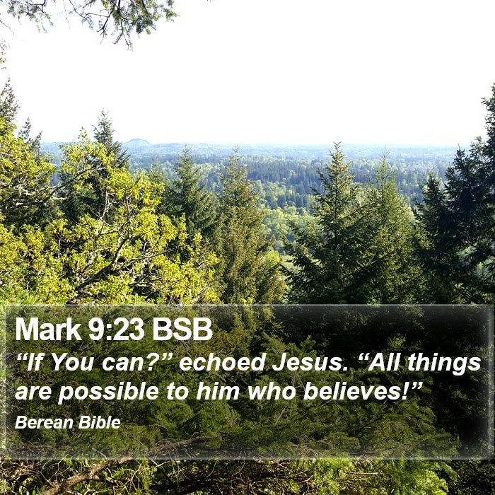 Mark 9:23 BSB Bible Study