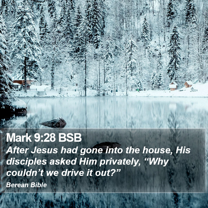 Mark 9:28 BSB Bible Study