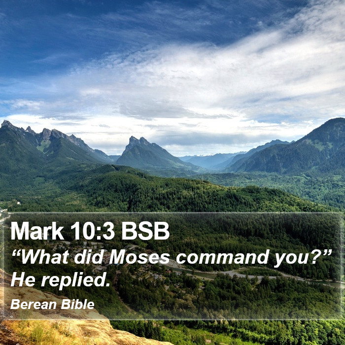 Mark 10:3 BSB Bible Study