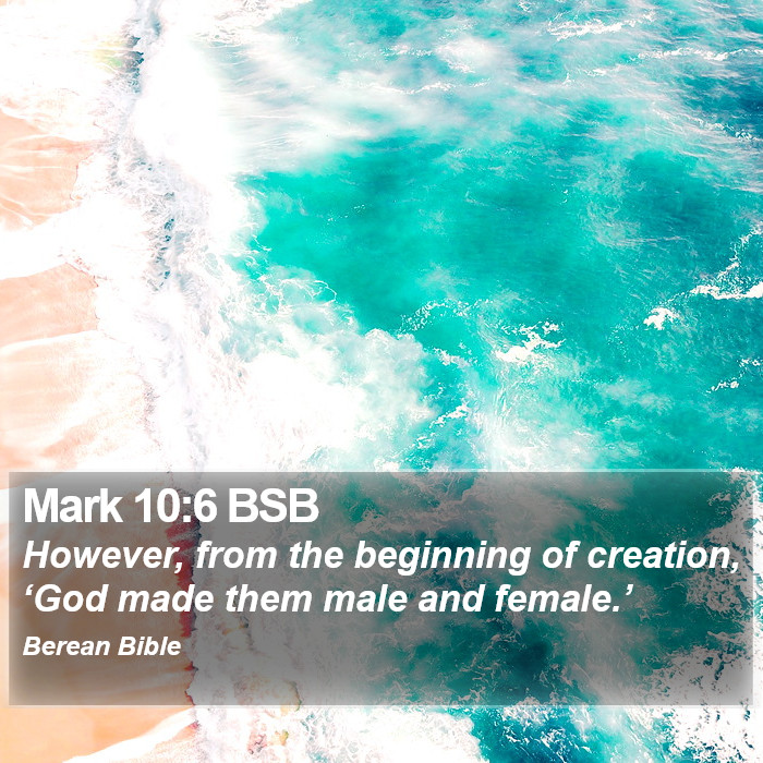 Mark 10:6 BSB Bible Study