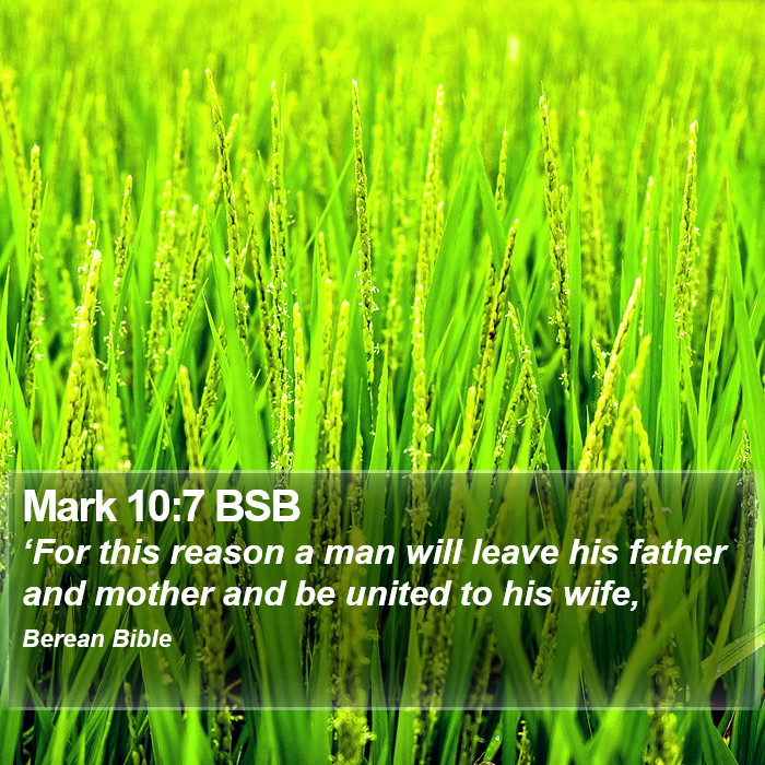 Mark 10:7 BSB Bible Study