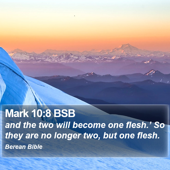 Mark 10:8 BSB Bible Study