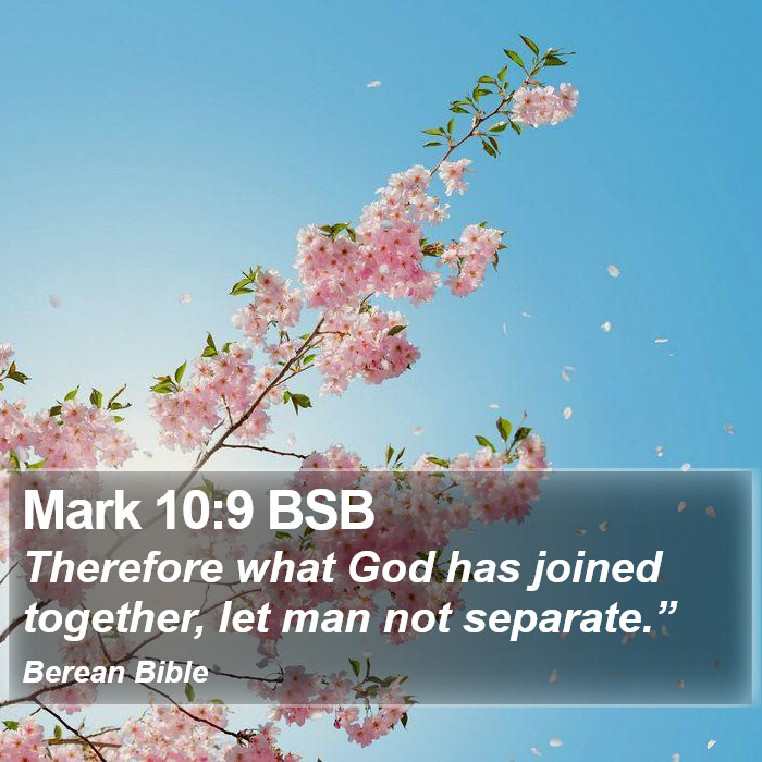 Mark 10:9 BSB Bible Study