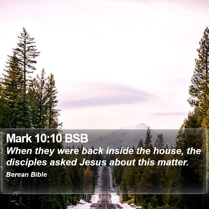 Mark 10:10 BSB Bible Study