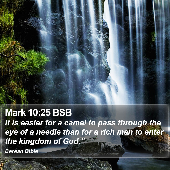 Mark 10:25 BSB Bible Study