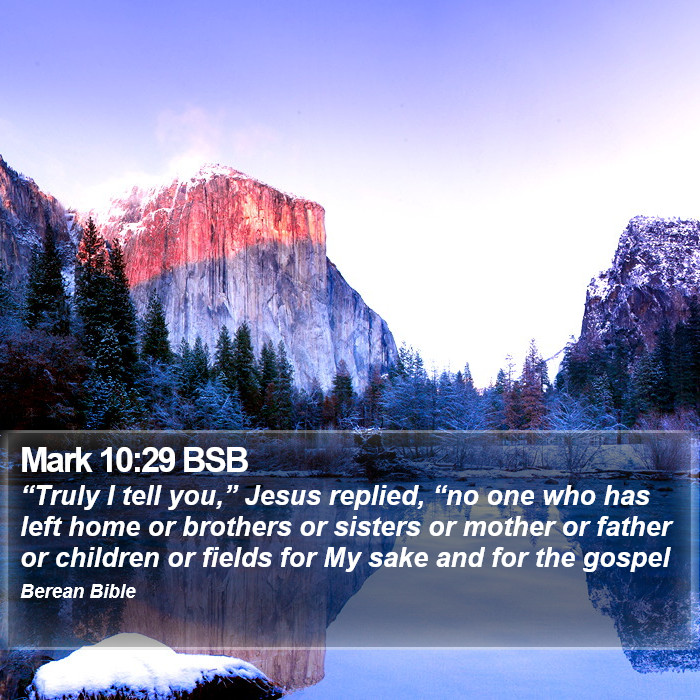 Mark 10:29 BSB Bible Study