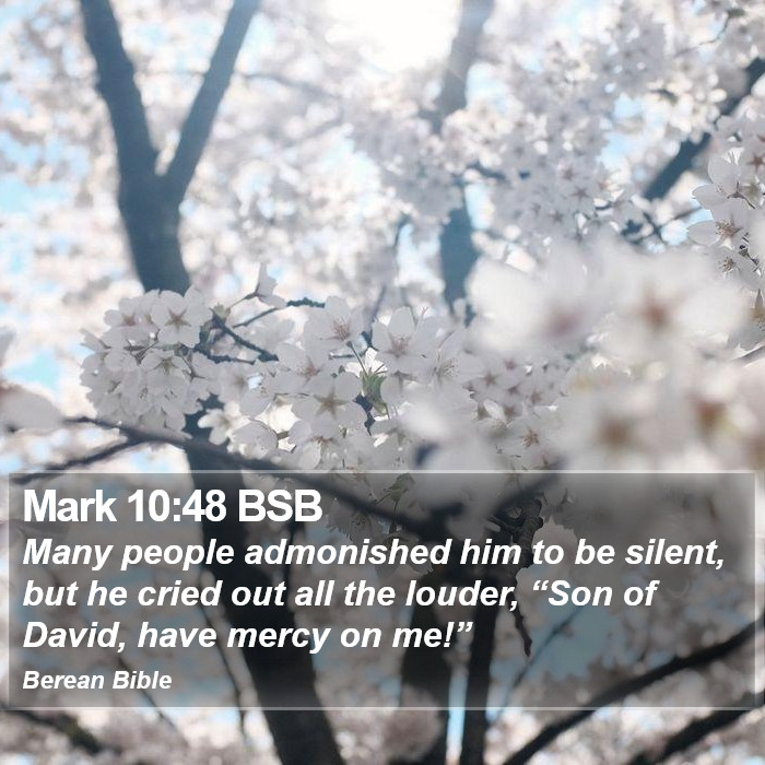 Mark 10:48 BSB Bible Study