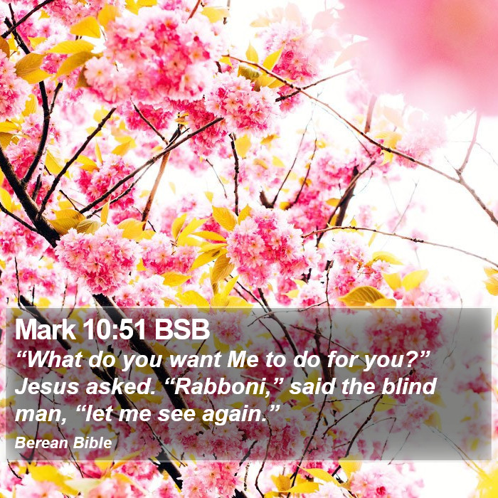 Mark 10:51 BSB Bible Study