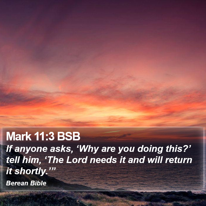 Mark 11:3 BSB Bible Study