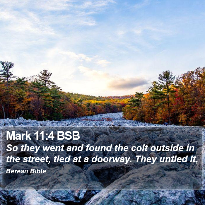 Mark 11:4 BSB Bible Study