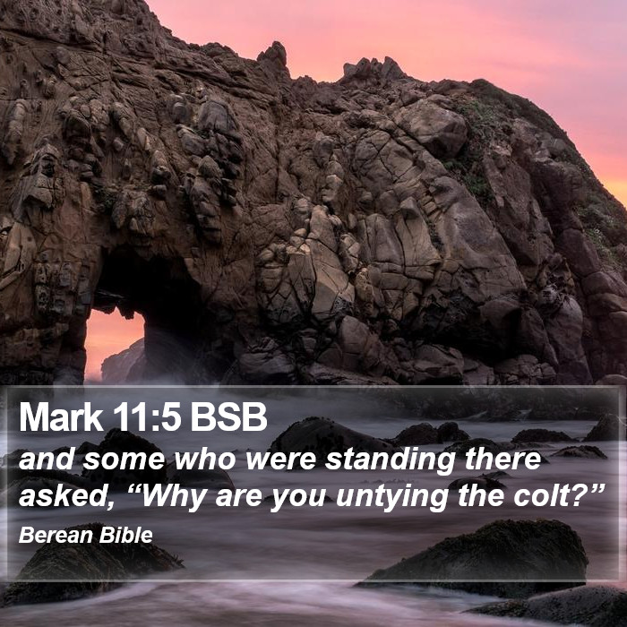 Mark 11:5 BSB Bible Study