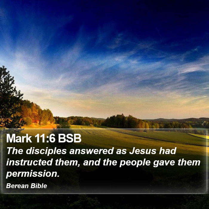 Mark 11:6 BSB Bible Study