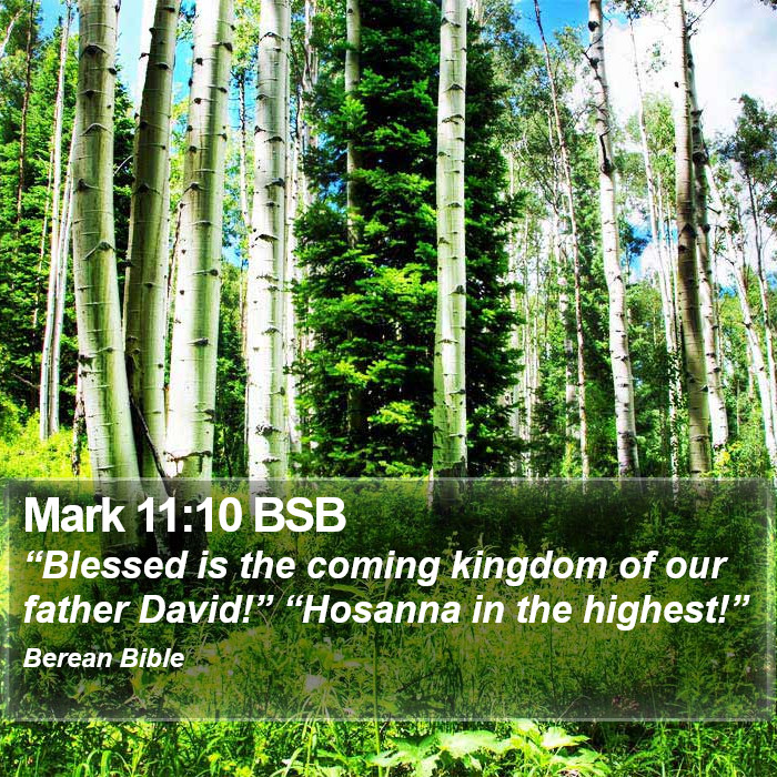 Mark 11:10 BSB Bible Study