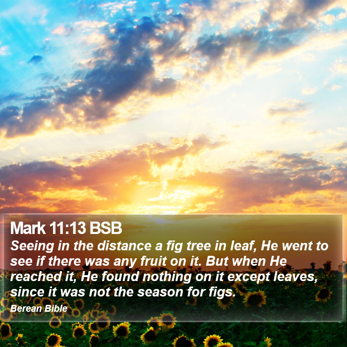 Mark 11:13 BSB Bible Study