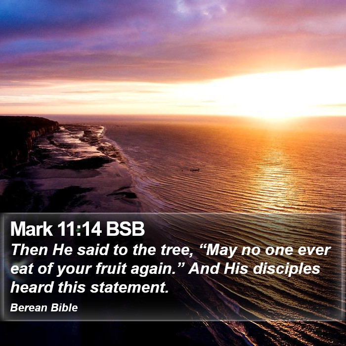 Mark 11:14 BSB Bible Study