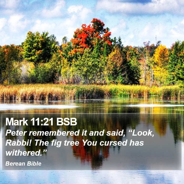 Mark 11:21 BSB Bible Study