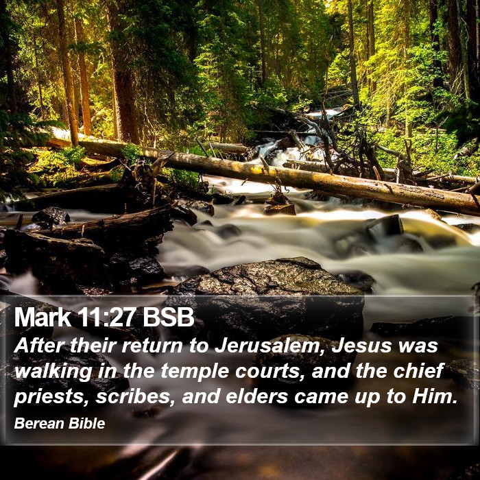 Mark 11:27 BSB Bible Study