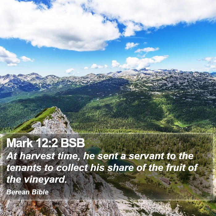 Mark 12:2 BSB Bible Study