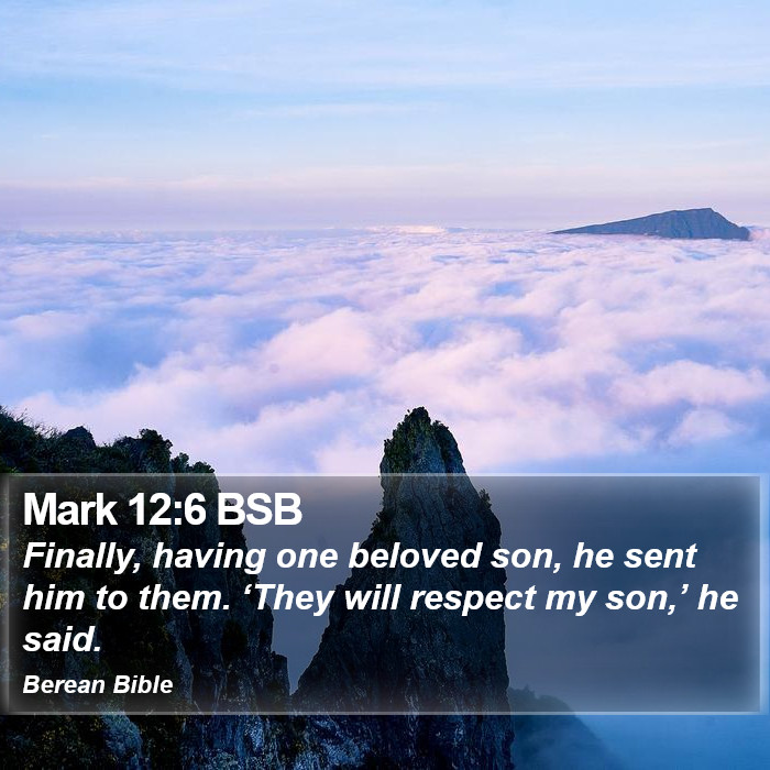 Mark 12:6 BSB Bible Study