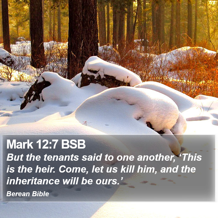 Mark 12:7 BSB Bible Study