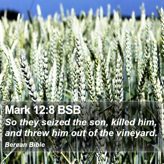 Mark 12:8 BSB Bible Study